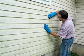 Best Historical Building Siding Restoration  in , WI